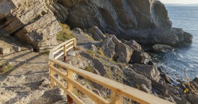 Атмосфера места: бухта Новый Свет